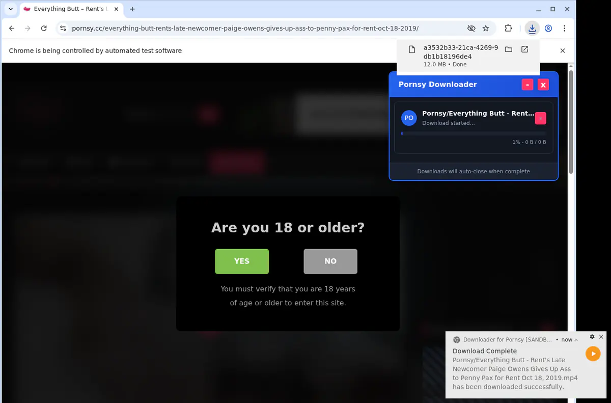Pornsy Video Downloader browser extension screenshot 2