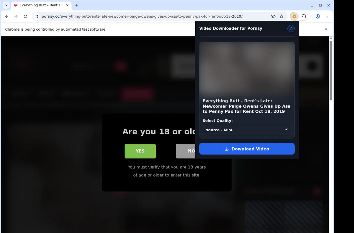 Pornsy Video Downloader browser extension screenshot 3