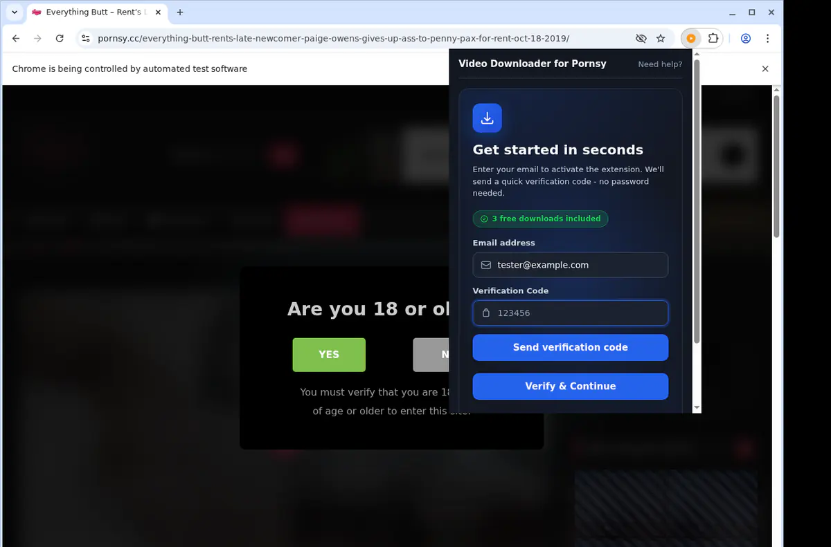 Pornsy Video Downloader browser extension screenshot 4