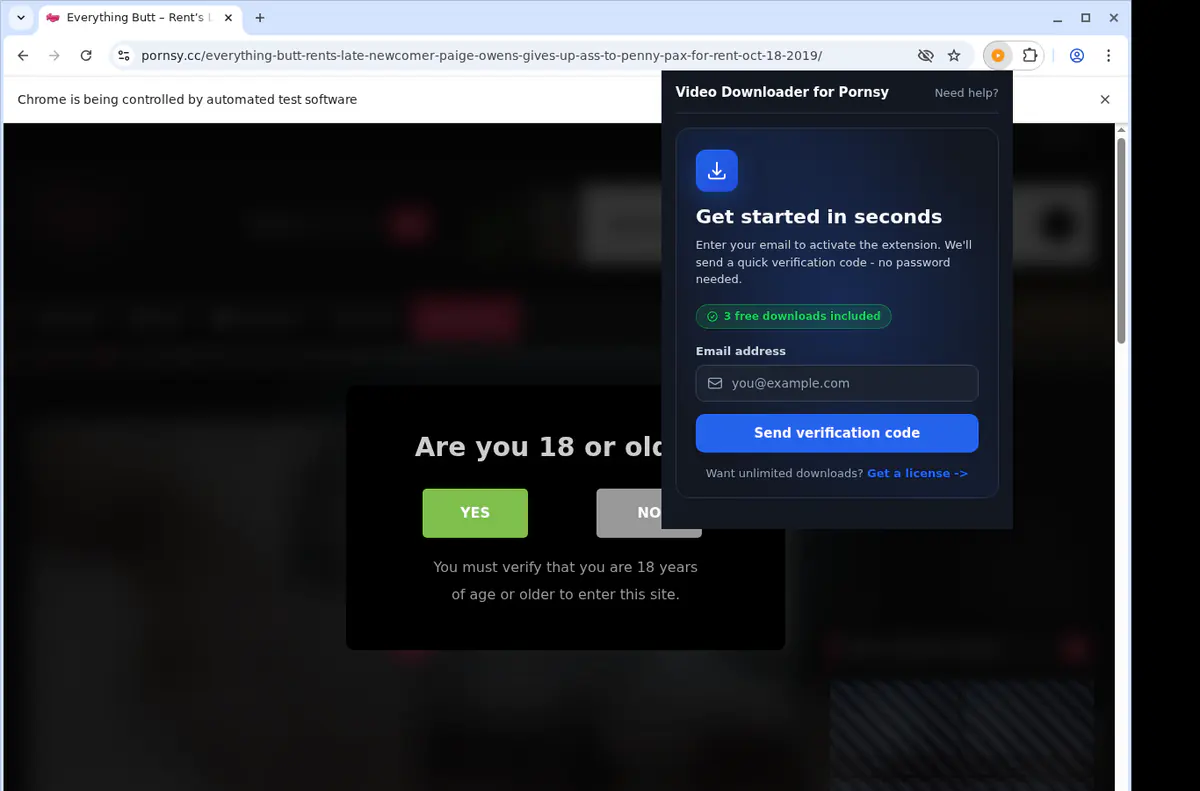 Pornsy Video Downloader browser extension screenshot 5